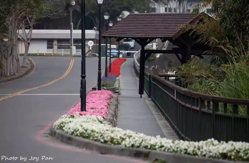 【旅游】祖国宝岛台湾，轻松带你玩个遍（上）| 美国贝佳天然药业