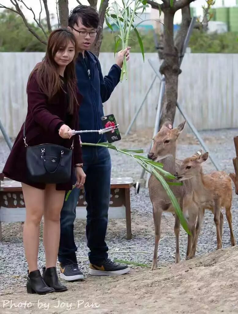 【旅游】祖国宝岛台湾，轻松带你玩个遍（上）| 美国贝佳天然药业