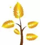 【旅游】金碧辉煌，雍容奢华，俄罗斯浮光掠影（下）美國貝佳天然藥業