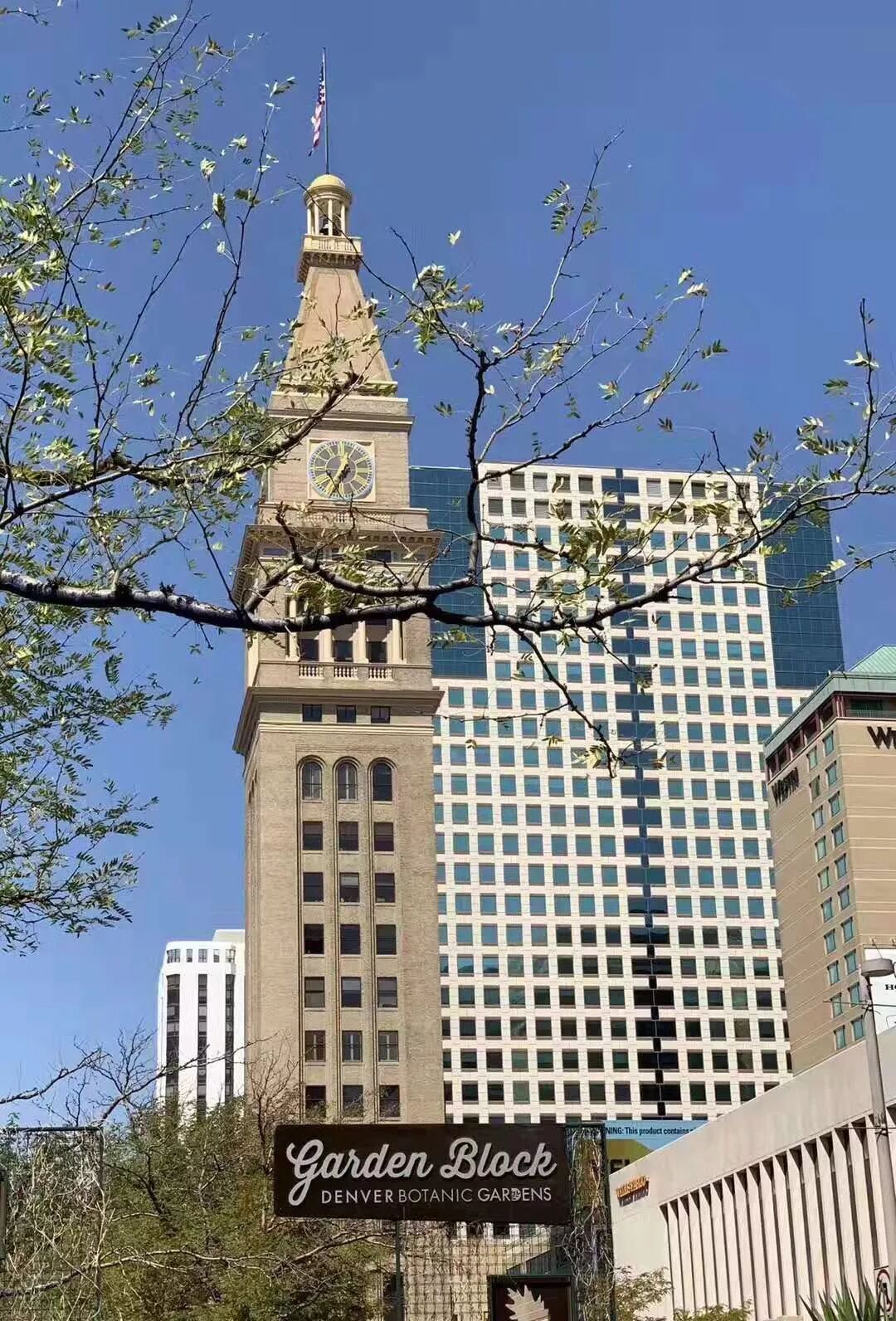 【旅游】一朵花，一座城，美国老城丹佛的前世今生 | 美國貝佳天然藥業