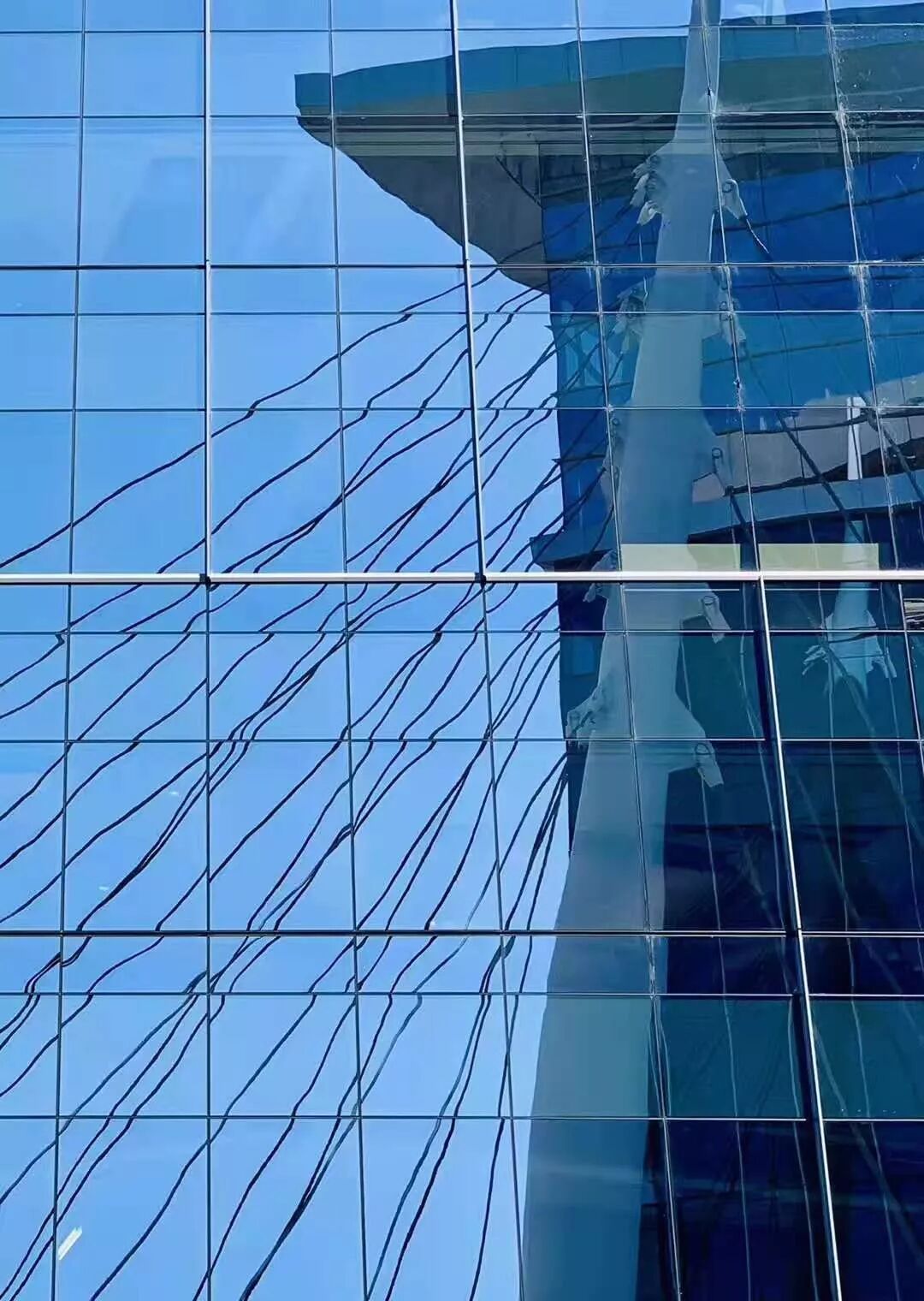 【旅游】一朵花，一座城，美国老城丹佛的前世今生 | 美國貝佳天然藥業