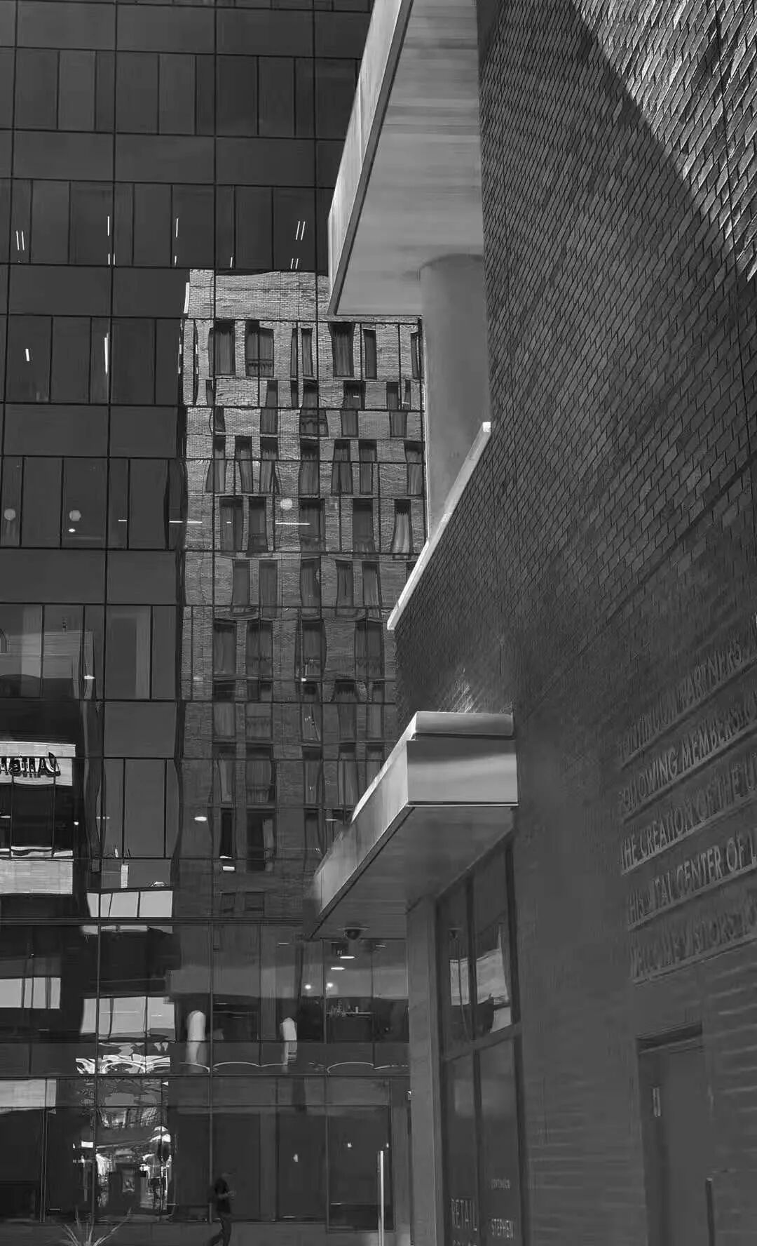 【旅游】一朵花，一座城，美国老城丹佛的前世今生 | 美國貝佳天然藥業