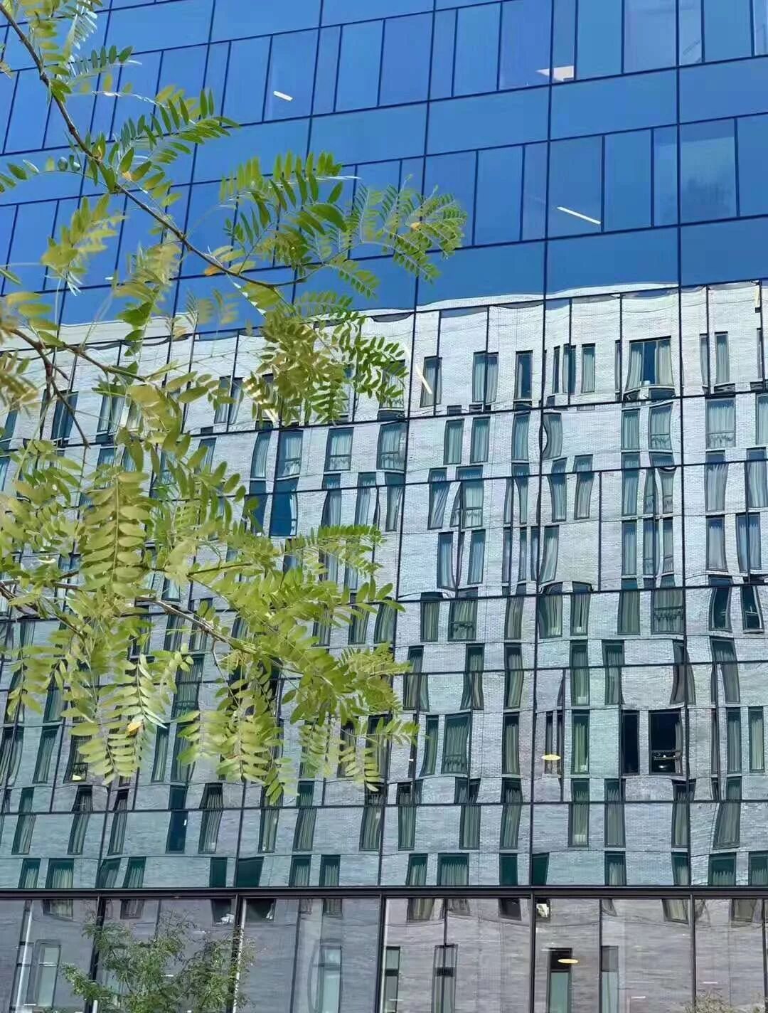 【旅游】一朵花，一座城，美国老城丹佛的前世今生 | 美國貝佳天然藥業