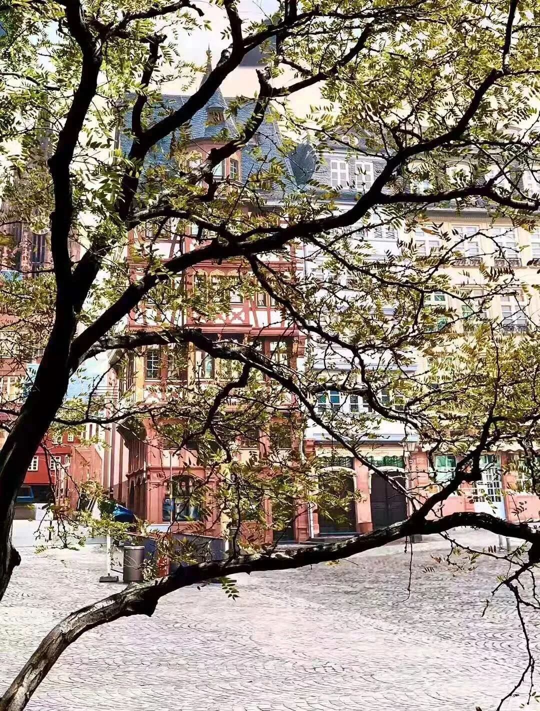 【旅游】一朵花，一座城，美国老城丹佛的前世今生 | 美國貝佳天然藥業