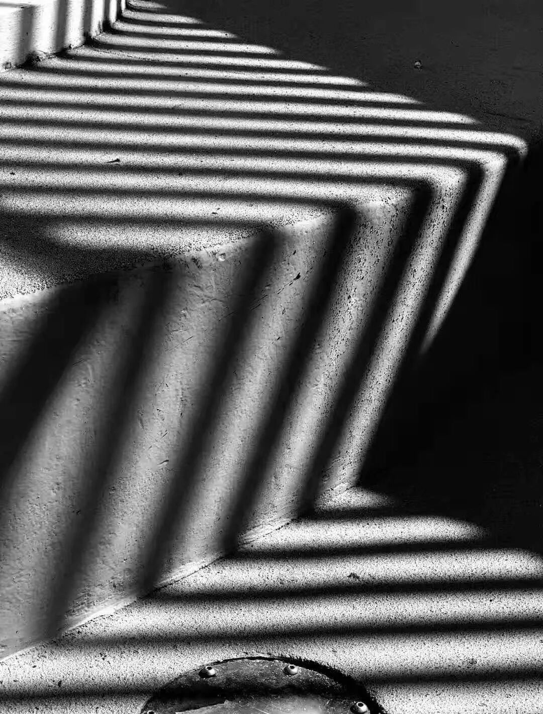 【旅游】一朵花，一座城，美国老城丹佛的前世今生 | 美國貝佳天然藥業