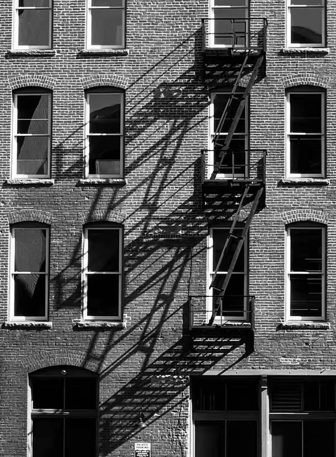 【旅游】一朵花，一座城，美国老城丹佛的前世今生 | 美國貝佳天然藥業