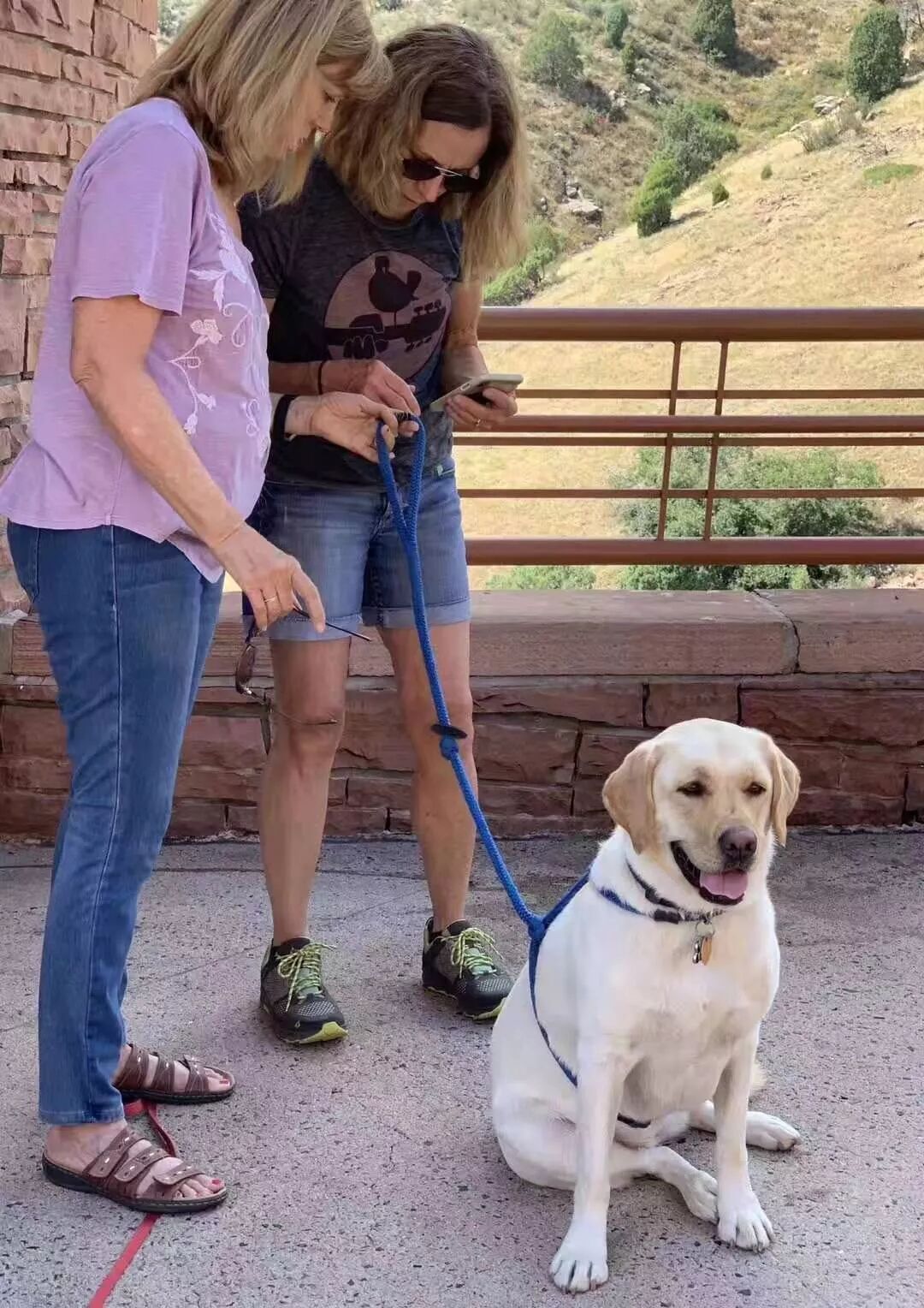 【旅游】一朵花，一座城，美国老城丹佛的前世今生 | 美國貝佳天然藥業