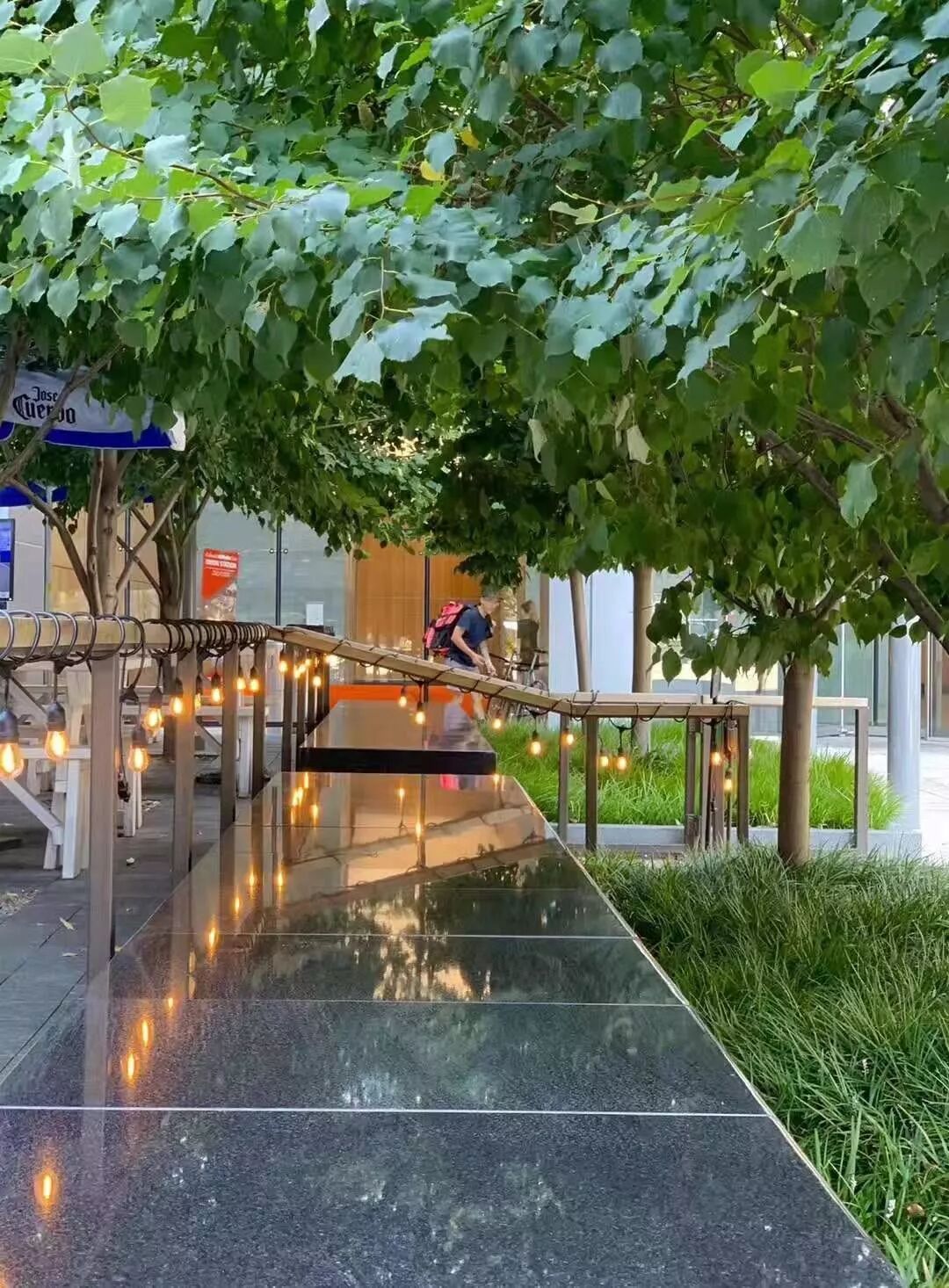 【旅游】一朵花，一座城，美国老城丹佛的前世今生 | 美國貝佳天然藥業