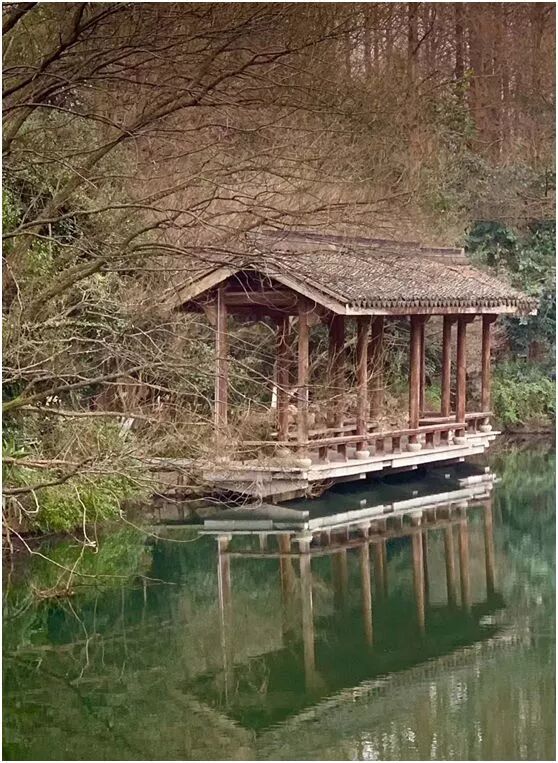 【旅游】水光潋滟、山色空蒙！冬季杭州西子如诗似画（上）| 美国贝佳天然药业