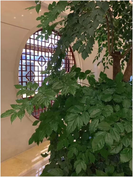 【旅游】水光潋滟、山色空蒙！冬季杭州西子如诗似画（上）| 美国贝佳天然药业