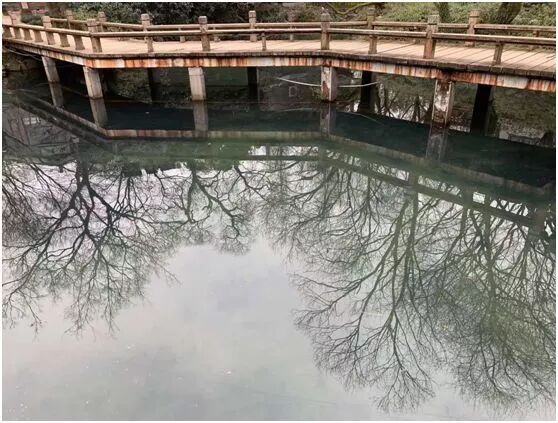 【旅游】水光潋滟、山色空蒙！冬季杭州西子如诗似画（上）| 美国贝佳天然药业