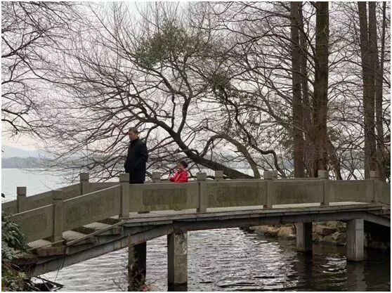 【旅游】水光潋滟、山色空蒙！冬季杭州西子如诗似画（上）| 美国贝佳天然药业