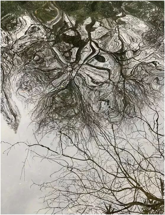 【旅游】水光潋滟、山色空蒙！冬季杭州西子如诗似画（上）| 美国贝佳天然药业