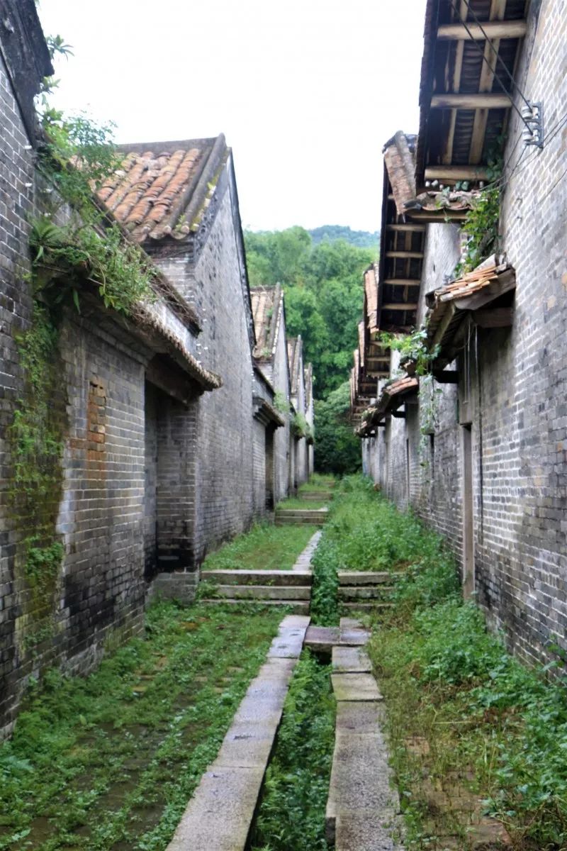 太平钱岗古村 从化自游人