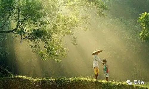 慢病调理用中药，还有艾灸来帮忙