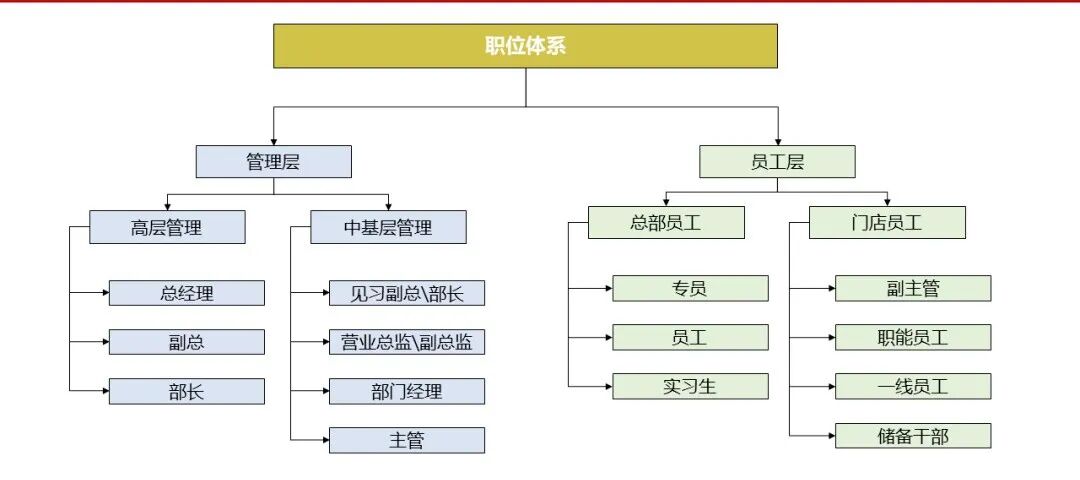 万店连锁:连锁企业组织架构如何设计?《组织设计与岗位说明》