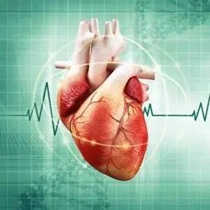 导管消融与外科射频消融相比，心律失常复发率高，并发症少