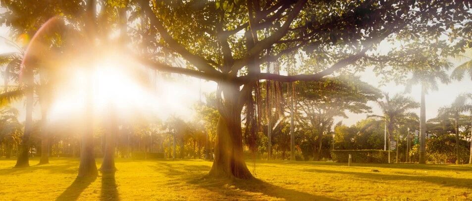 今夏最全的三伏贴居家实操指南（收藏版）