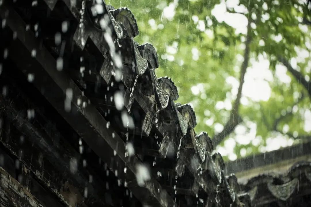 濕氣不除百病纏身，這個祛濕方法，懶人也能輕松堅持 健康 第1張