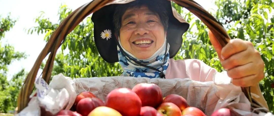 农业生产经营需要贷款？快上这辆直通车！