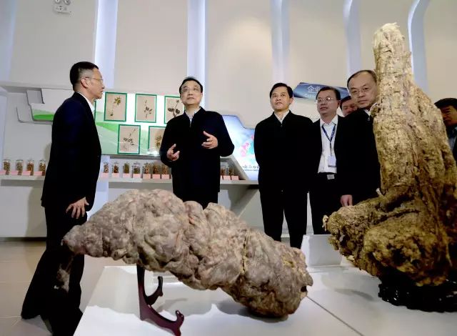 李克強考察雲南白藥:你們研究的天然藥是民族的也是世界的