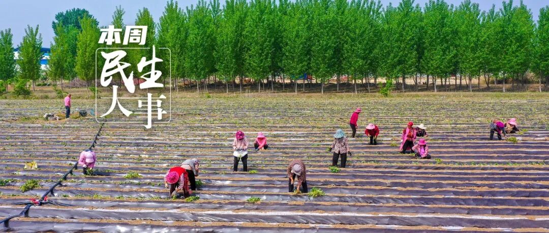 关于毕业生求职、英语四六级考试成绩查询、货运司机从业资格考试……本周提醒来了！(四六级考试成绩证书)