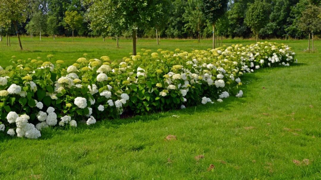 用双手奔跑的少年，他说：靠自己才是最大的底气-图片3