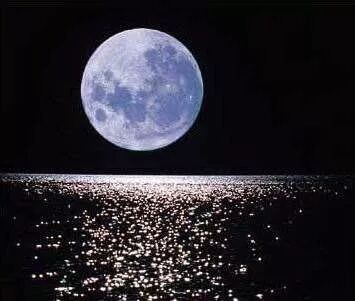 海上生明月天涯共此时露从今夜白月是故乡明明月本无价,高山皆有情