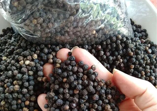 12月17日胡椒行情