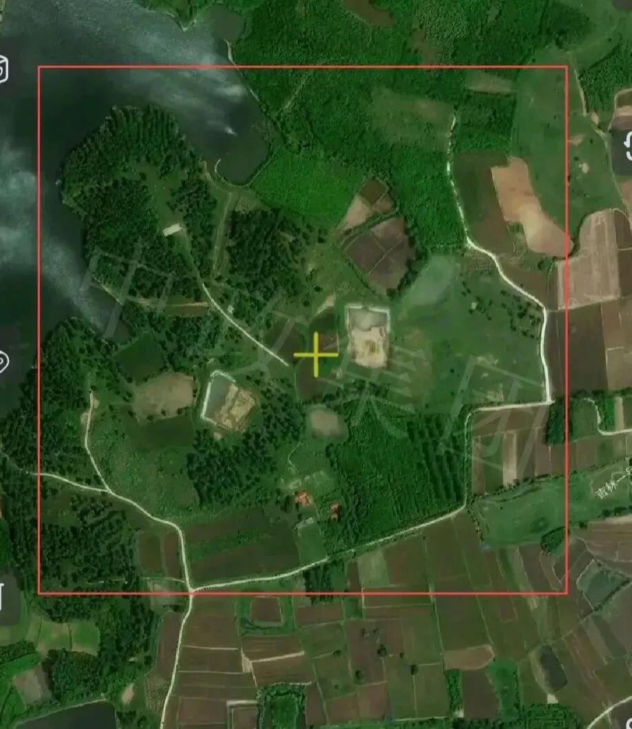 隆古乡王洼林场20年承包经营权拍卖