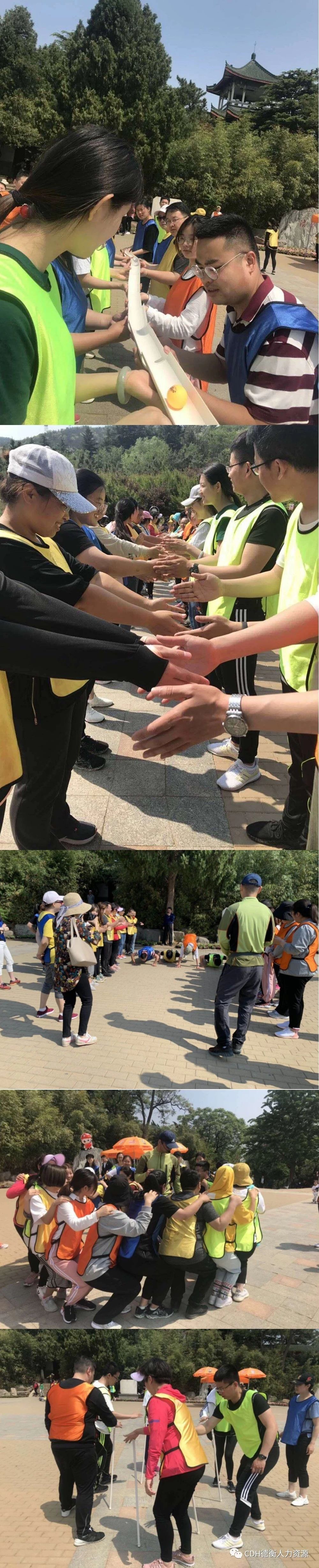 山东德衡人力资源