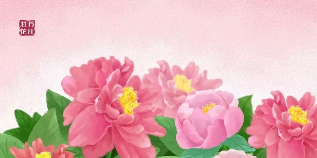 菅韧姿怎么读_维达超韧细韧倍韧哪个更柔软_韧怎么读