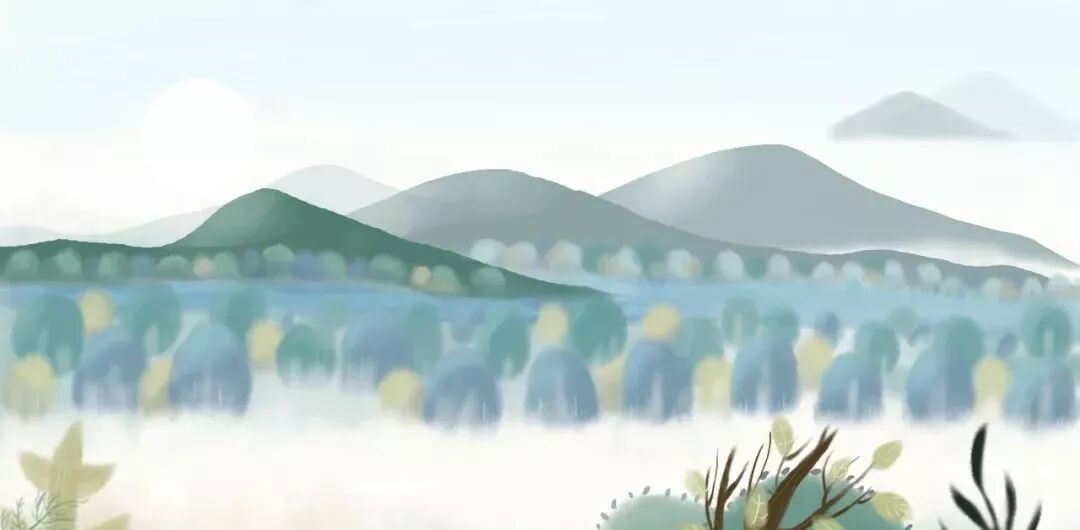 维达超韧细韧倍韧哪个更柔软_韧怎么读_菅韧姿怎么读