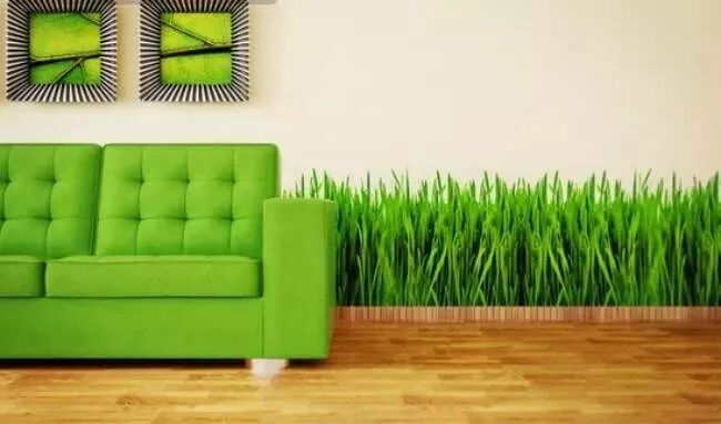 怎么制备氧正离子这几类人是最需要补充生态负离子的，看看有你吗？_https://www.jmylbn.com_新闻资讯_第5张