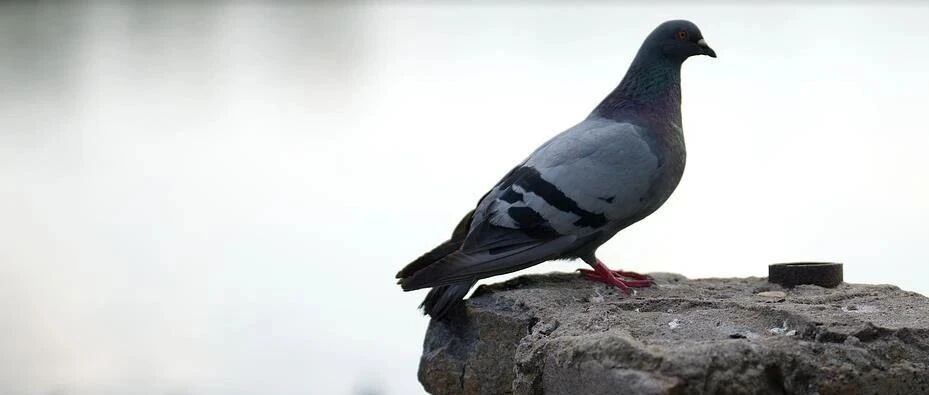 读了这群“学霸”的“高考作文练笔”，我发现了一个要命的问题