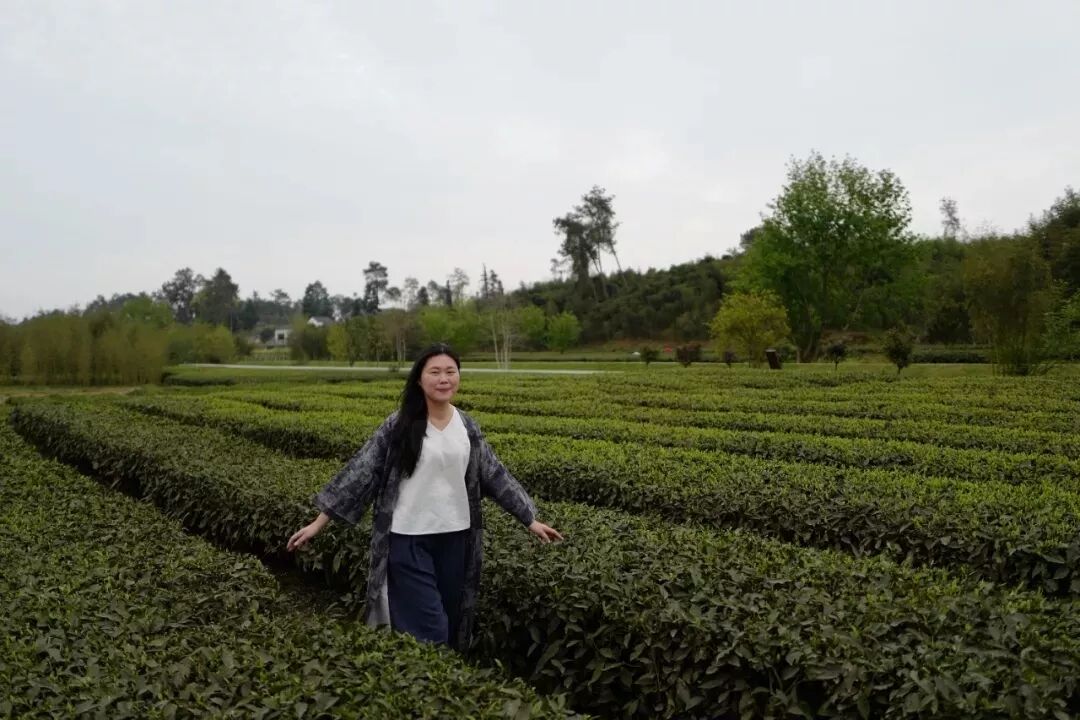 谈乡村旅游创业项目课程_李开复谈创业中国教父级ceo的创业真经_关于旅游的创业项目