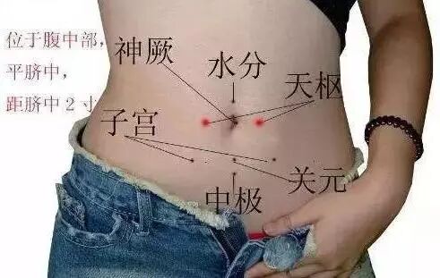 传统学术文化交流 自由微信 Freewechat