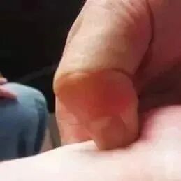 熏蒸什么档位治什么宝隆祥带您认识传统中药熏蒸_https://www.jmylbn.com_新闻资讯_第7张