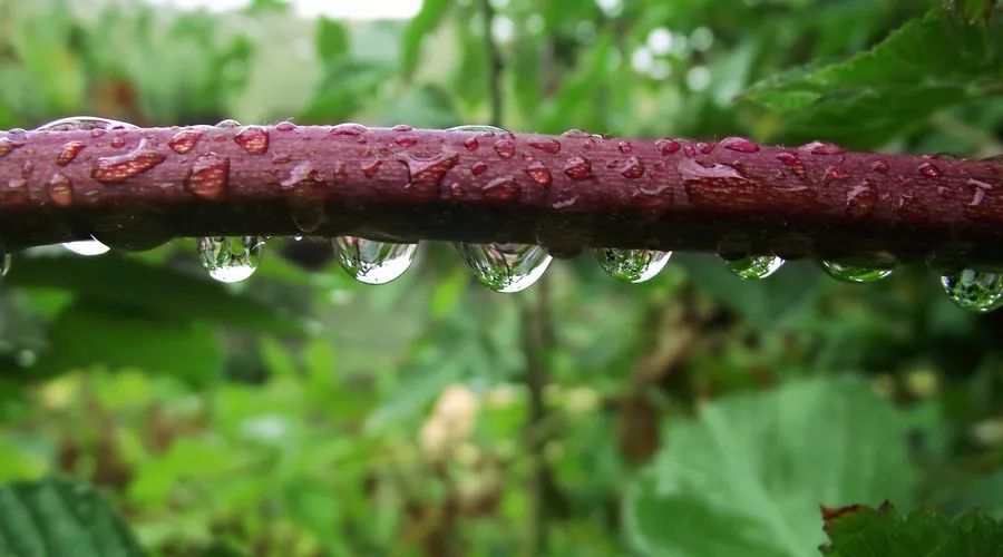 湿重是标，脾虚是本！祛湿补脾的3种方法送给您