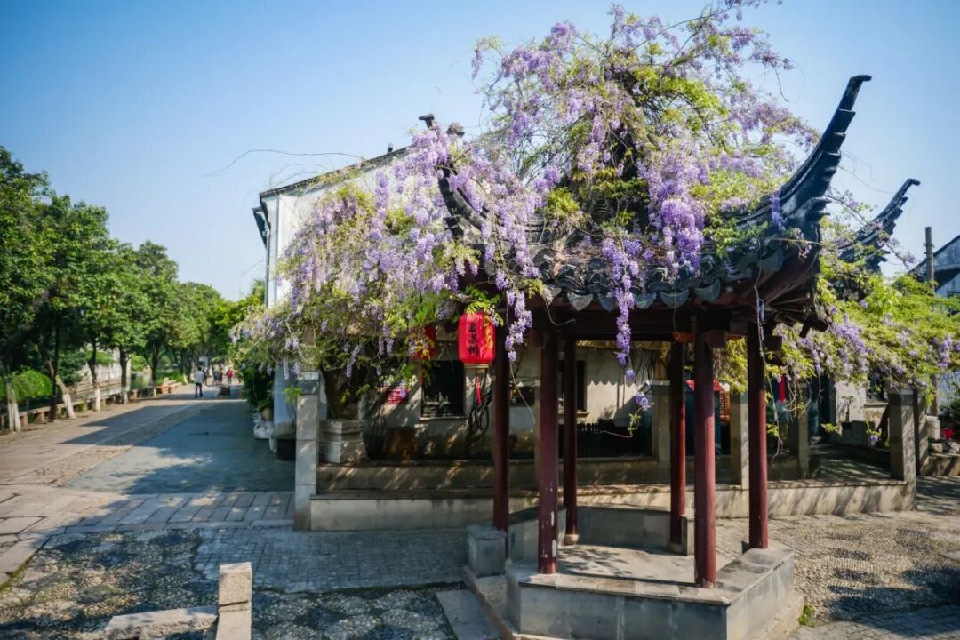 P1422795.jpg