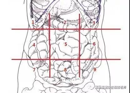 肚子疼怎么办 今日热聊胃肠 衢州新闻