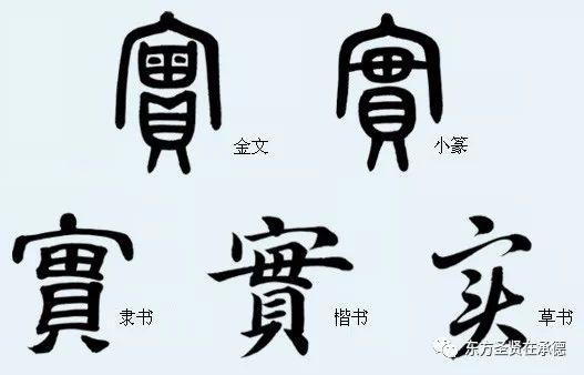 【今日解字】实