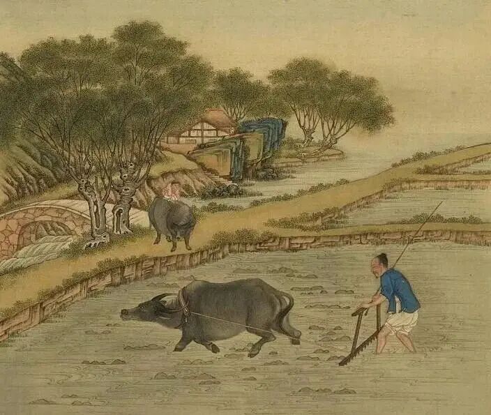 古代皇帝为什么反对种植烟叶