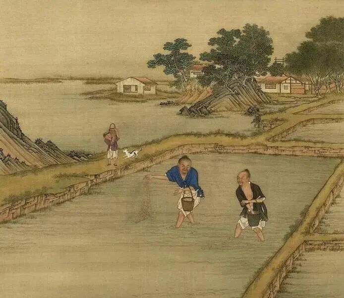 古代皇帝为什么反对种植烟叶