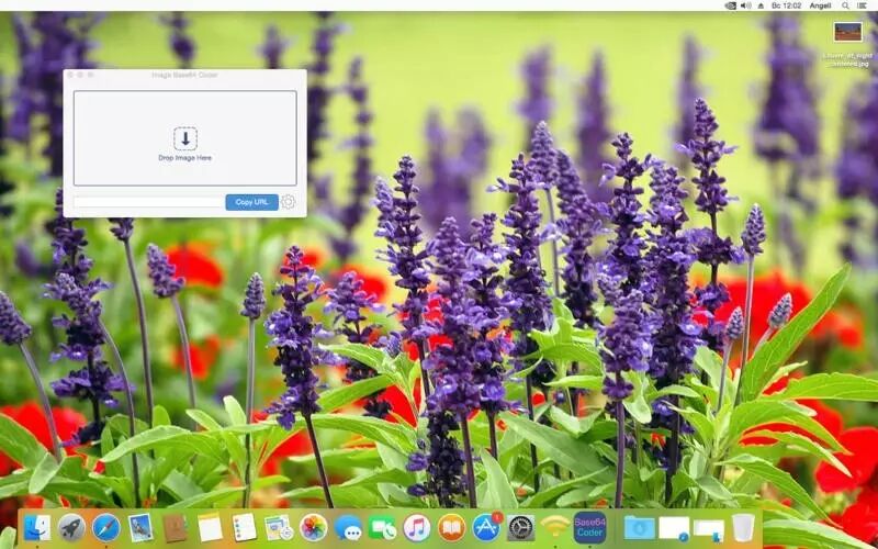 Mac 精品限免|工具限免周一来！款款实用又优质！还有两用U盘等你领！