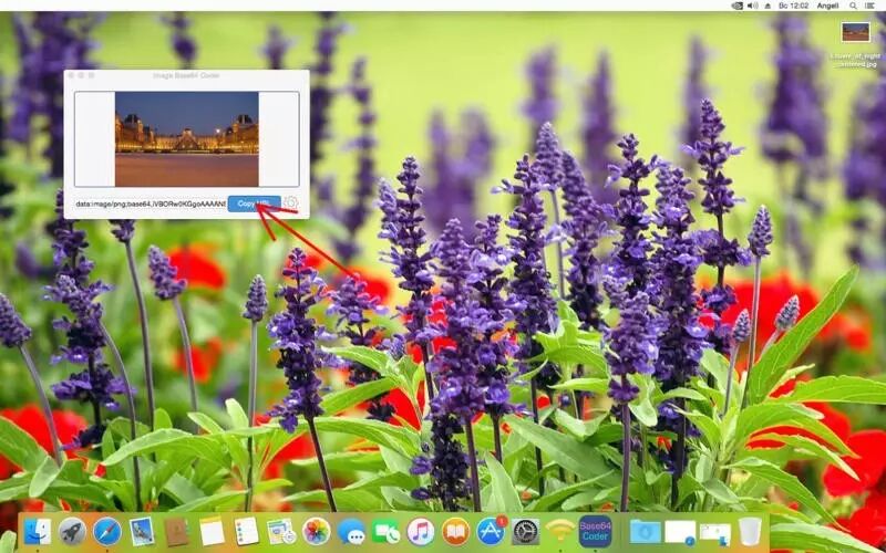 Mac 精品限免|工具限免周一来！款款实用又优质！还有两用U盘等你领！