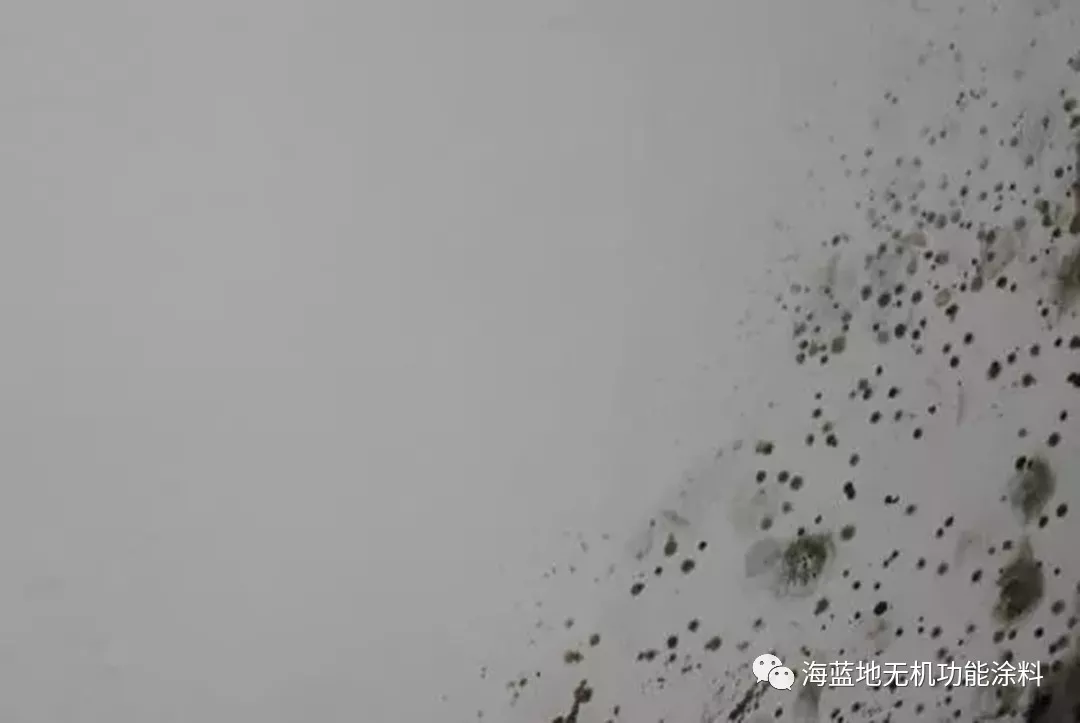 墙面又发霉怎么活,赶紧用海蓝地 墙面又发霉怎么活,赶紧用海蓝地