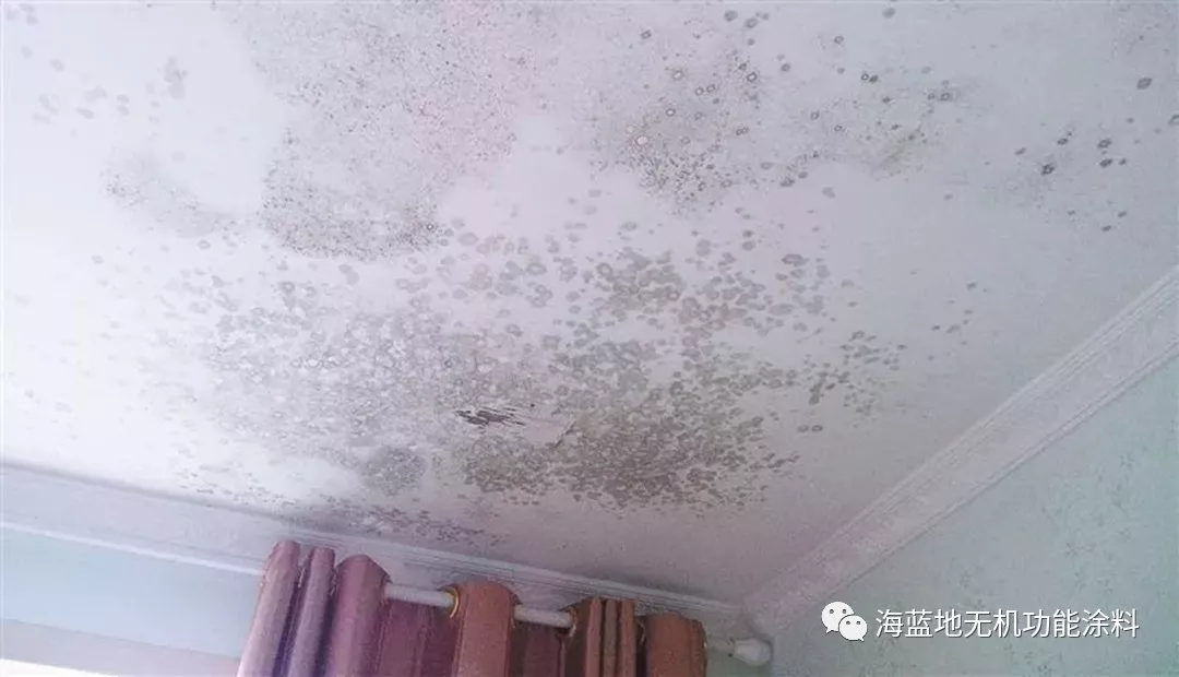 墙面又发霉怎么活,赶紧用海蓝地 墙面又发霉怎么活,赶紧用海蓝地