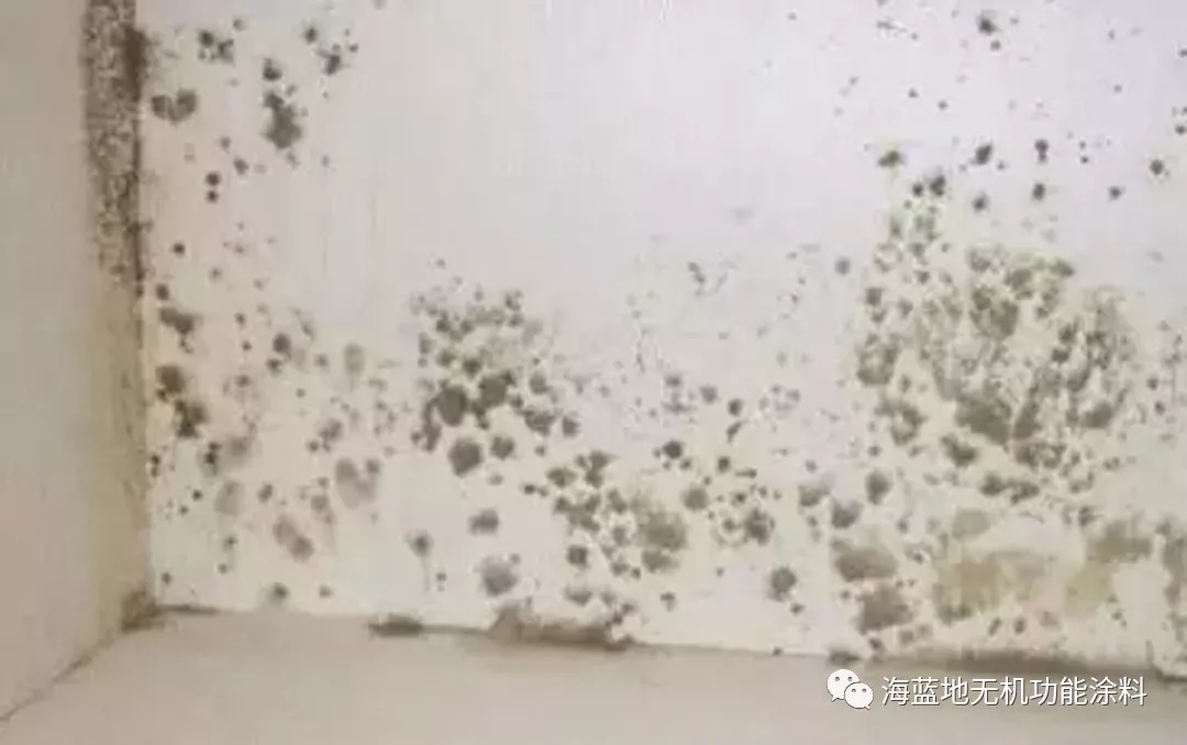墙面又发霉怎么活,赶紧用海蓝地 墙面又发霉怎么活,赶紧用海蓝地
