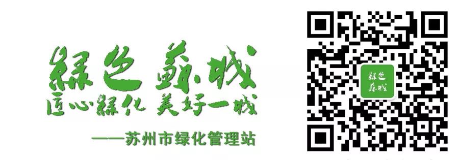 園藝課堂 丨趕緊收藏  別再傻傻分不清桃李梅杏櫻了 家居 第18張